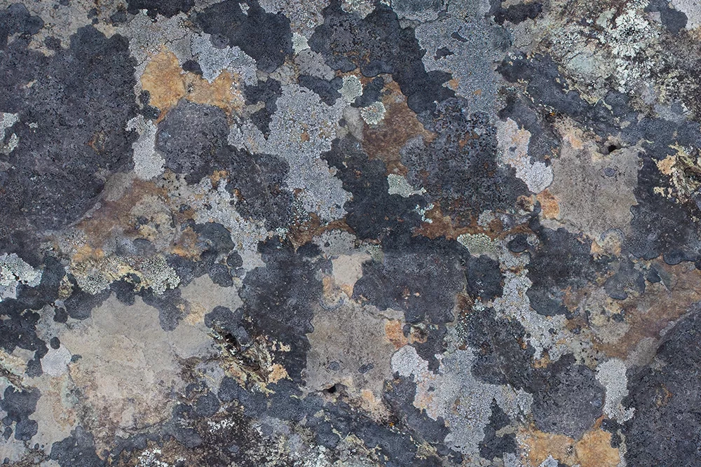 Купить Алюминиевая композитная панель коллекция MOSS в Екатеринбурге