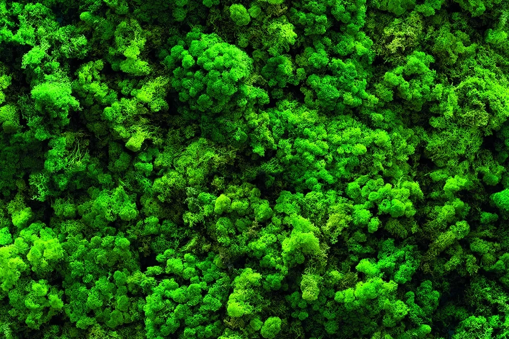Купить Алюминиевая композитная панель коллекция MOSS в Екатеринбурге