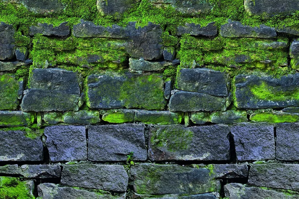 Купить Алюминиевая композитная панель коллекция MOSS в Екатеринбурге