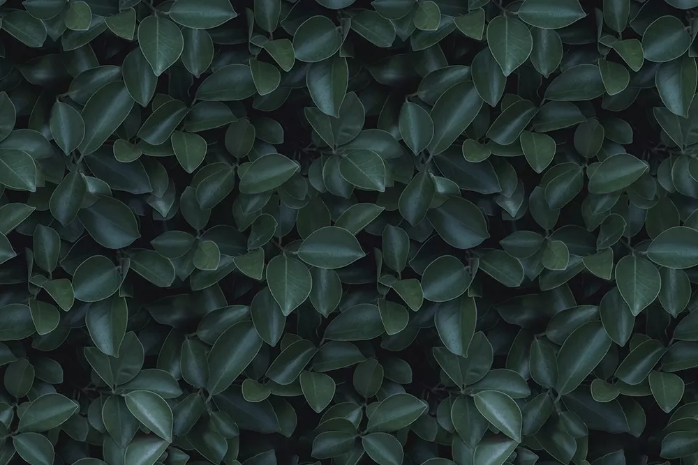 Купить Алюминиевая композитная панель коллекция GRASS в Екатеринбурге
